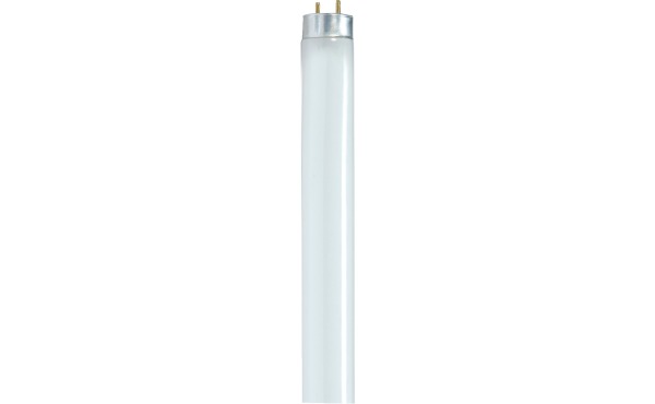 Satco 32W 48 In. T8 Medium Bi-Pin Fluorescent Tube Light Bulb